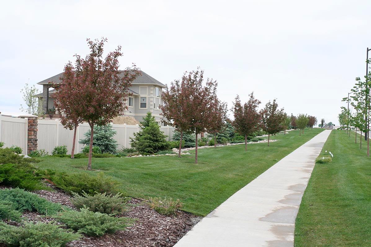 Alford Meadows Loveland, CO Ripley Design