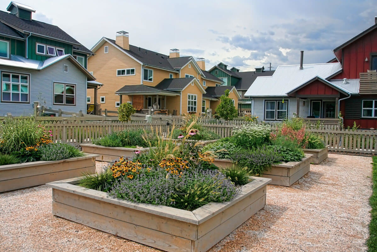 Hedgerow townhome neighborhood in Indian Peaks Lafayette, CO – Ripley Design Inc