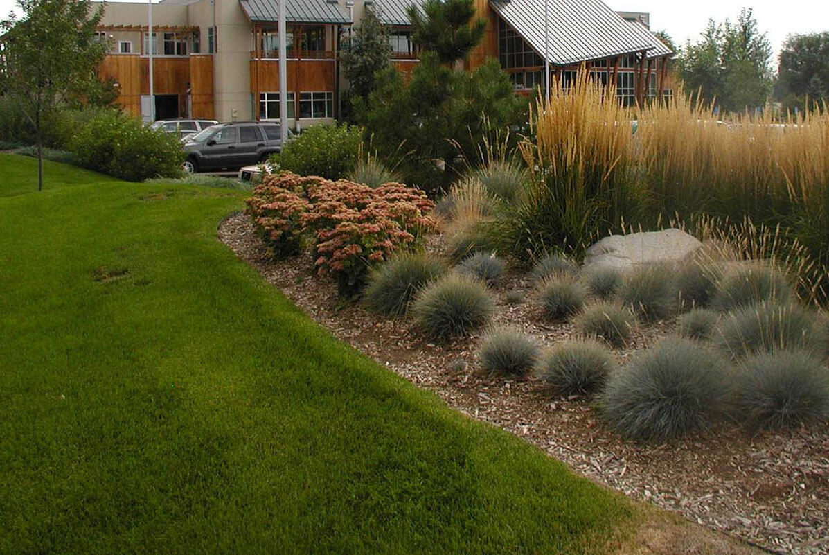 In-Situ 221 E Lincoln Ave Fort Collins, CO Ripley Design Inc