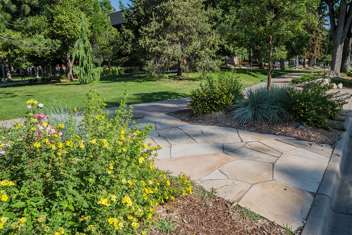Old Town Library – Fort Collins, CO – Ripley Design, Inc