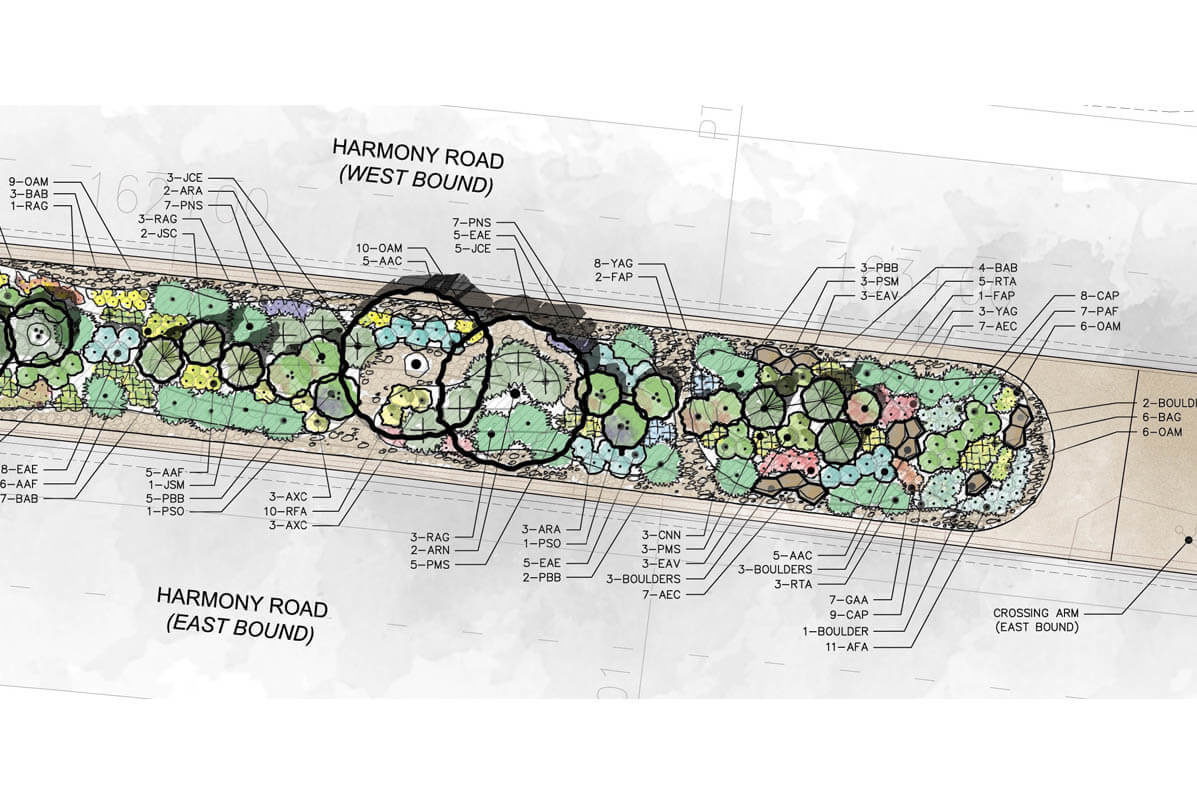 Plan Sketch The Medians at Harmony and Lemay _ Ripley Design Inc Fort Collins, CO