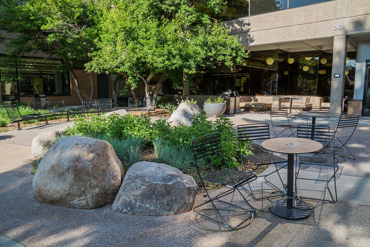Picture of entry plaza Old Town Library in Fort Collins, CO – Ripley Design