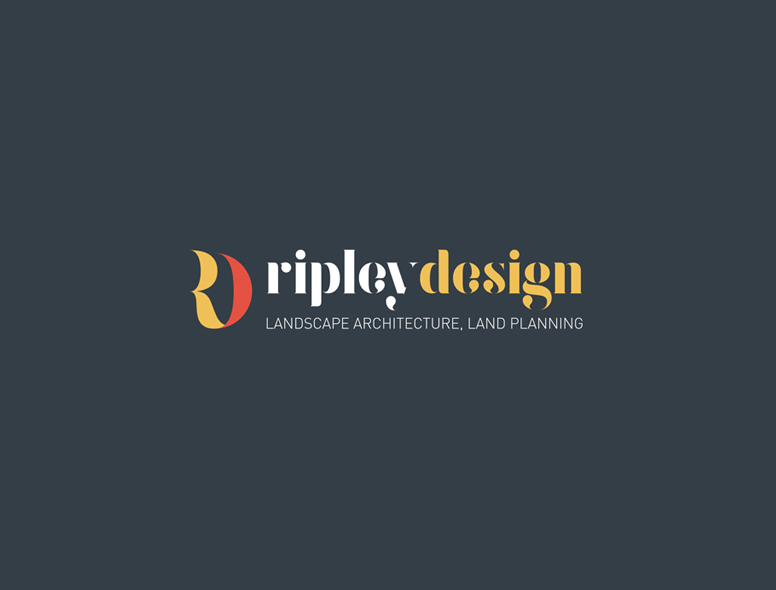 New Branding, New Website, and Leadership Changes